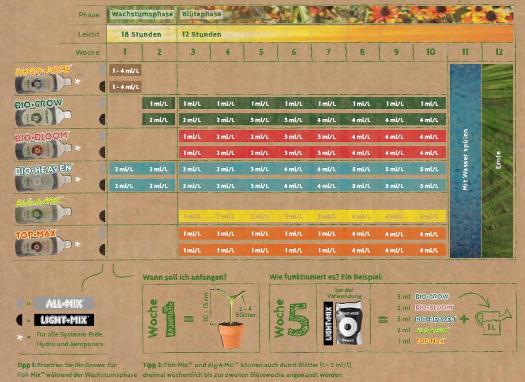 Growreport Bild 7