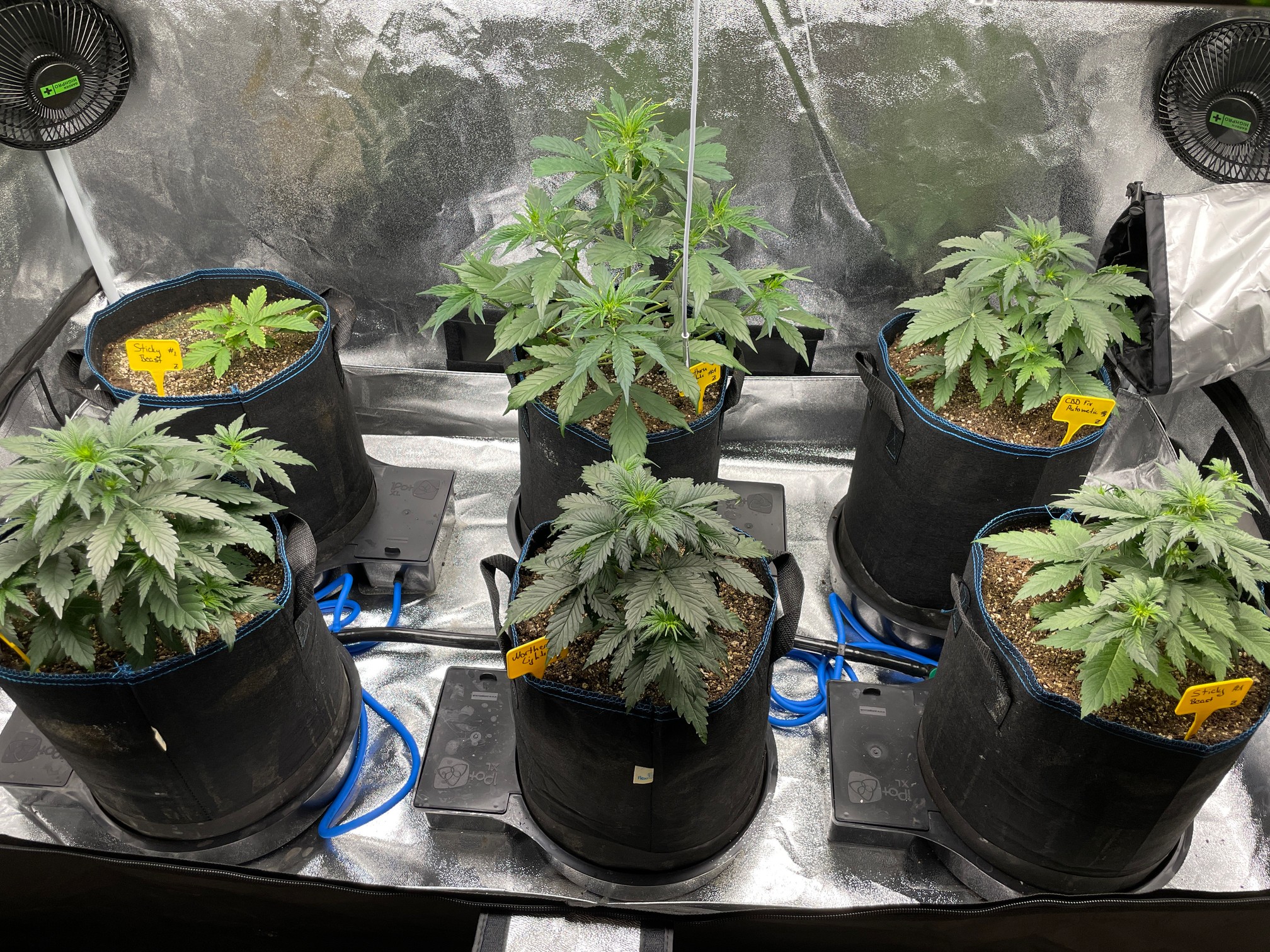 20211017_080100043_iOS