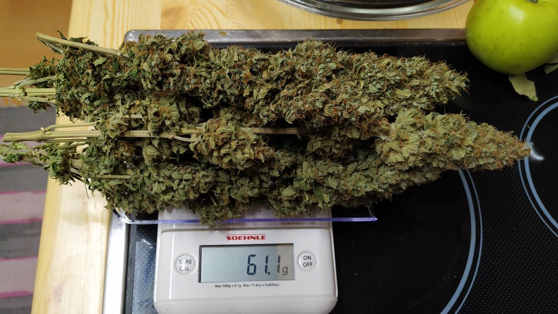 b_IMG_20200902_104359