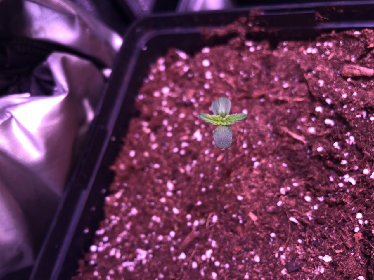 Growreport Bild 9