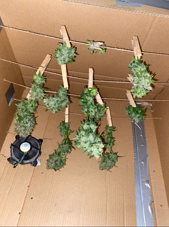 Growreport Bild 1