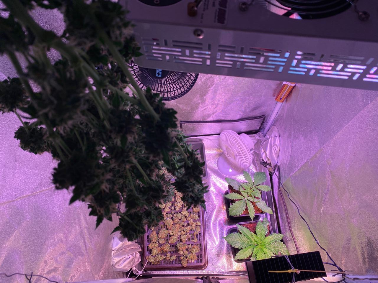 Growreport Bild 13