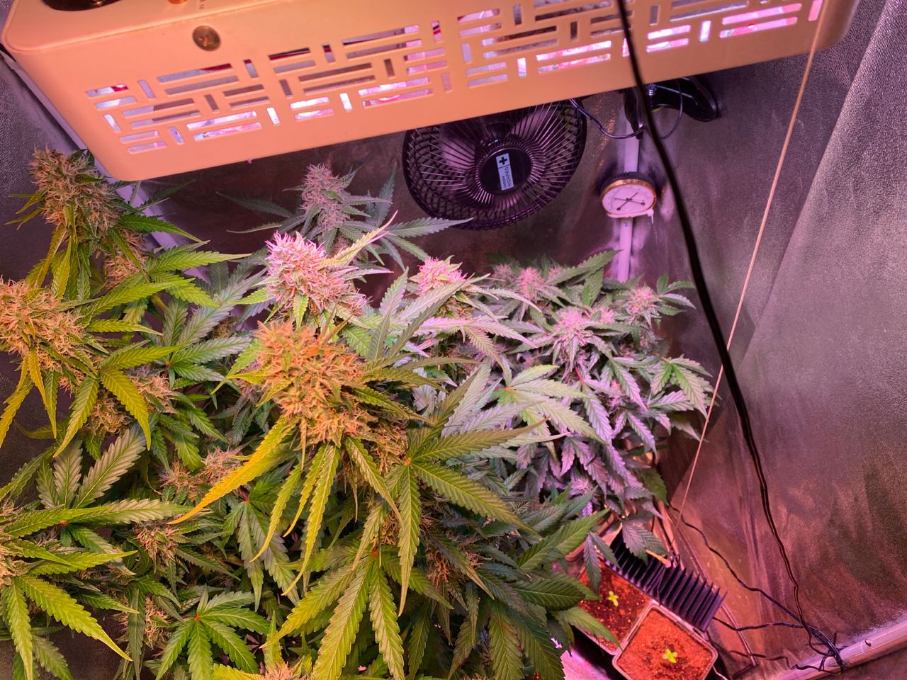 Growreport Bild 8