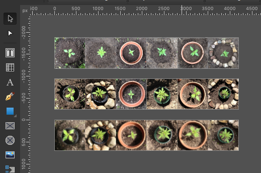 6layout