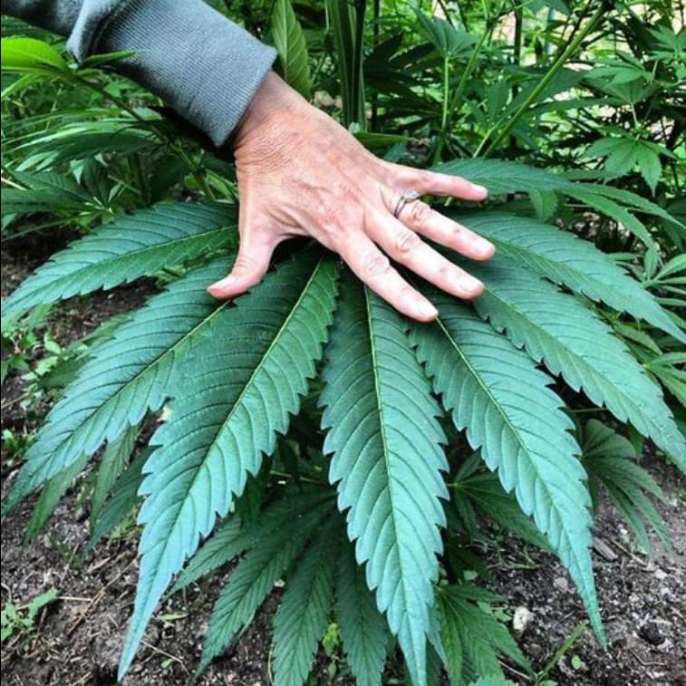 Growreport Bild 14