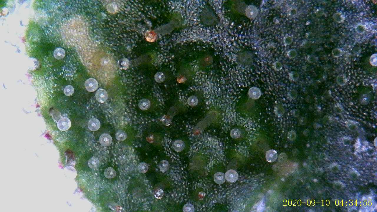 Growreport Bild 11