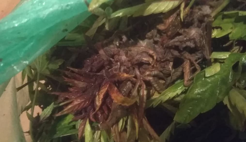 Screenshot_20230805-175649~2