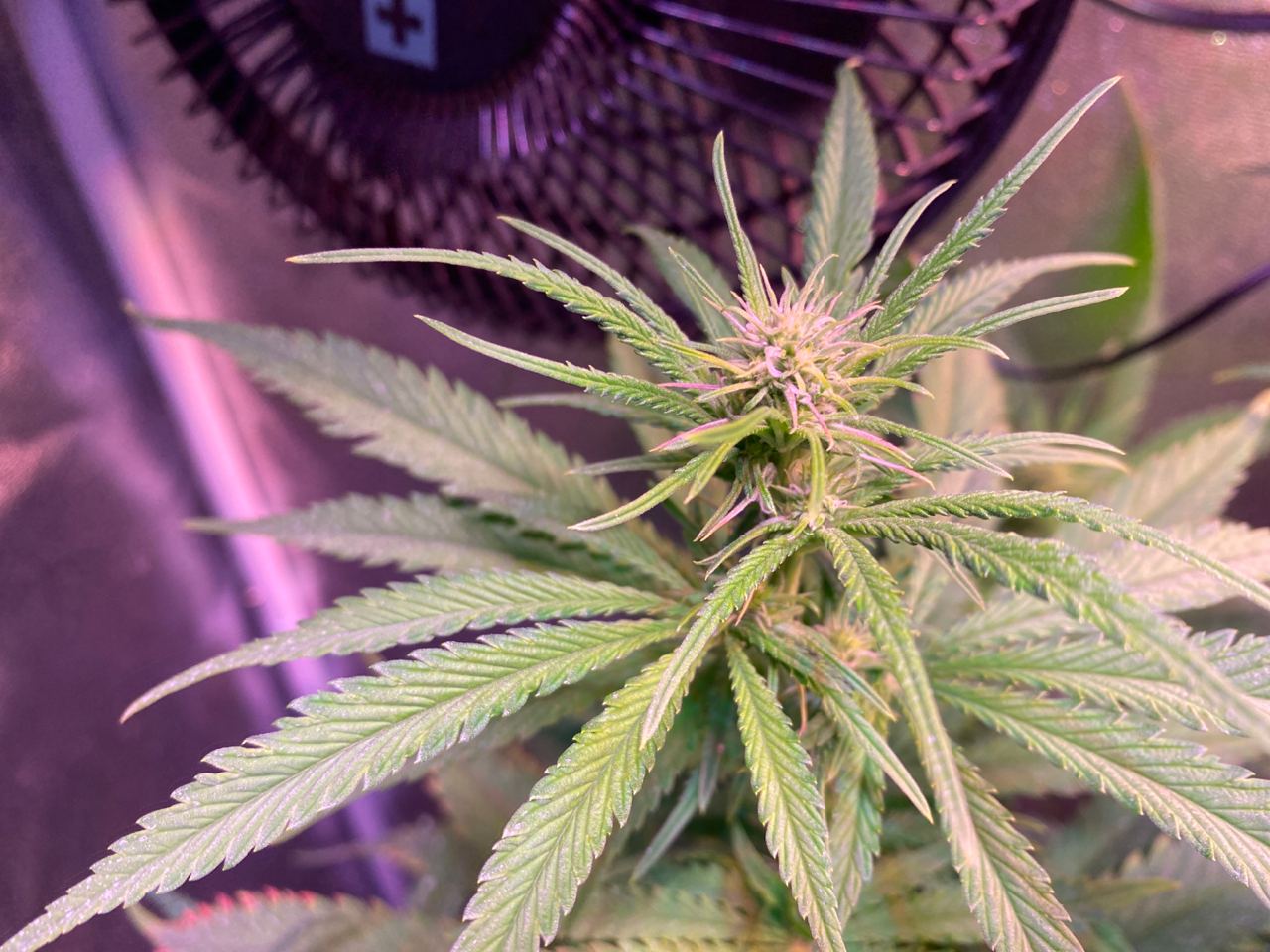 Growreport Bild 15