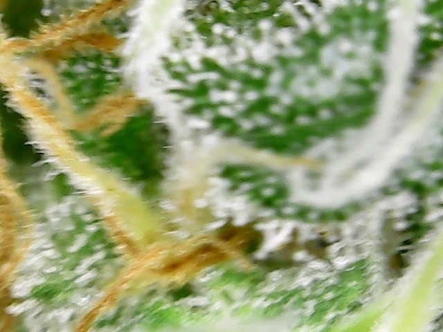 2021-10-11_15-43-23-17