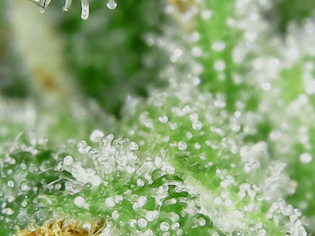 nachschlag_0_micro_3