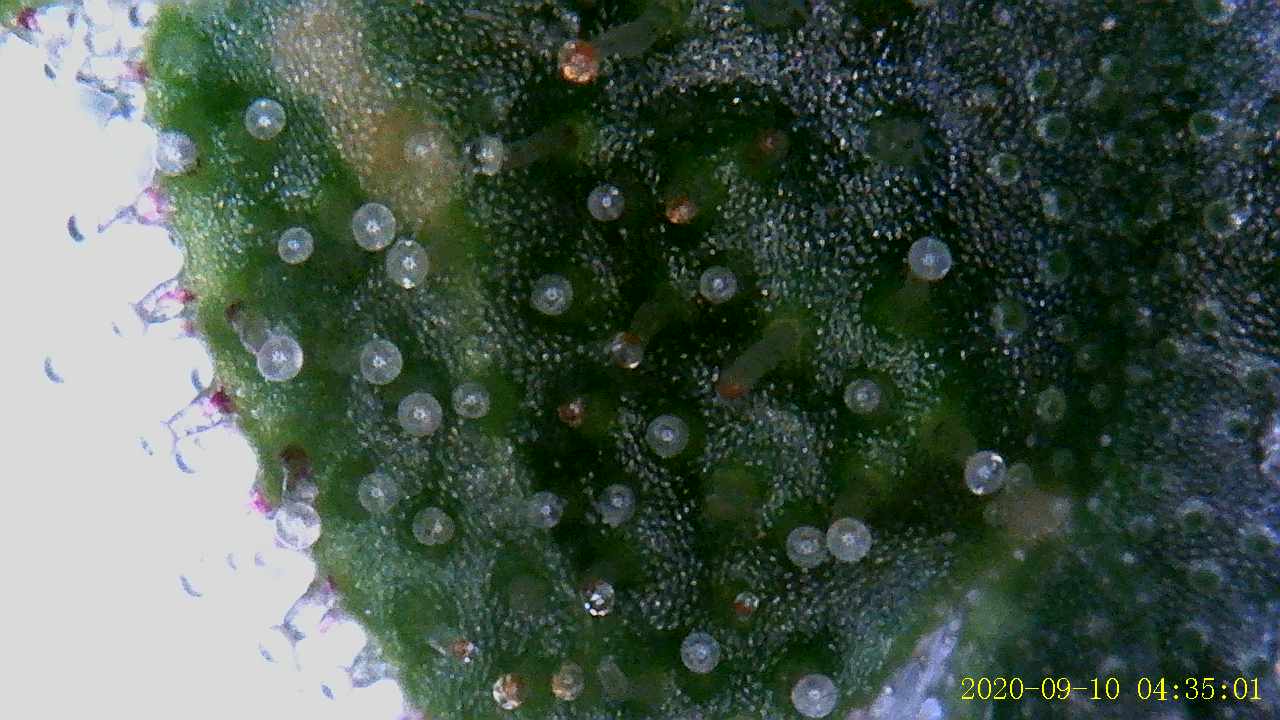 Growreport Bild 12