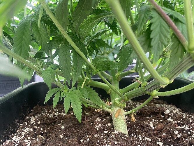 8aa8d4cf919c73f42b512d51694a6366d6506d7b_2_666x500