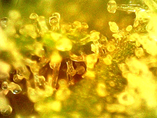 NextCamera_20250822_110555