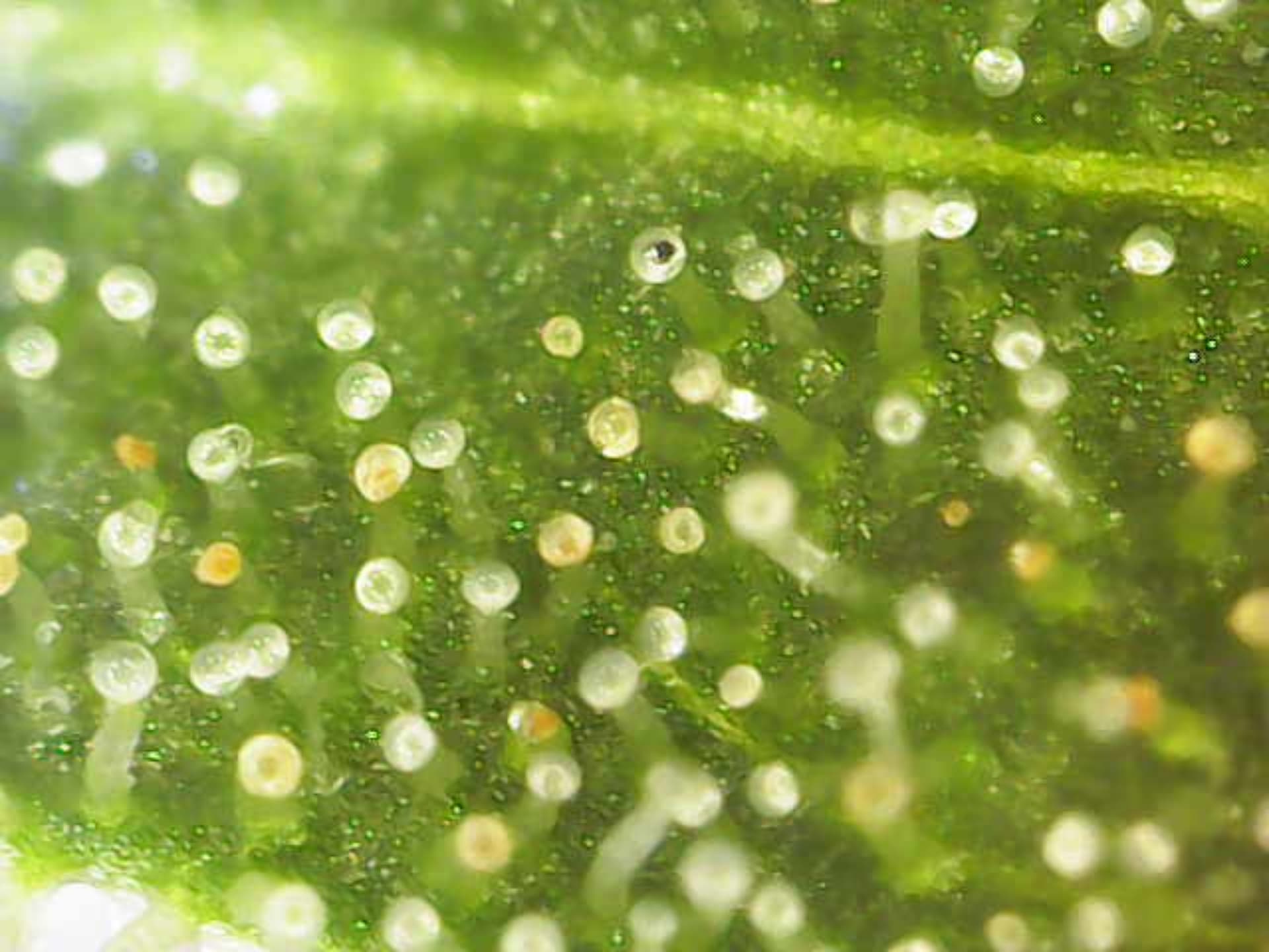 Image_2024-07-15 10_57_25_734