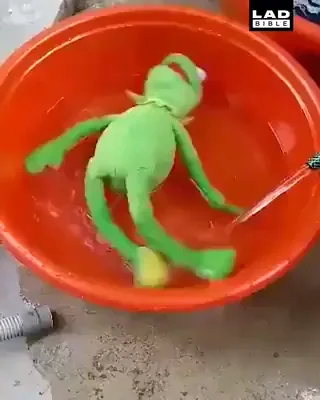 giphy
