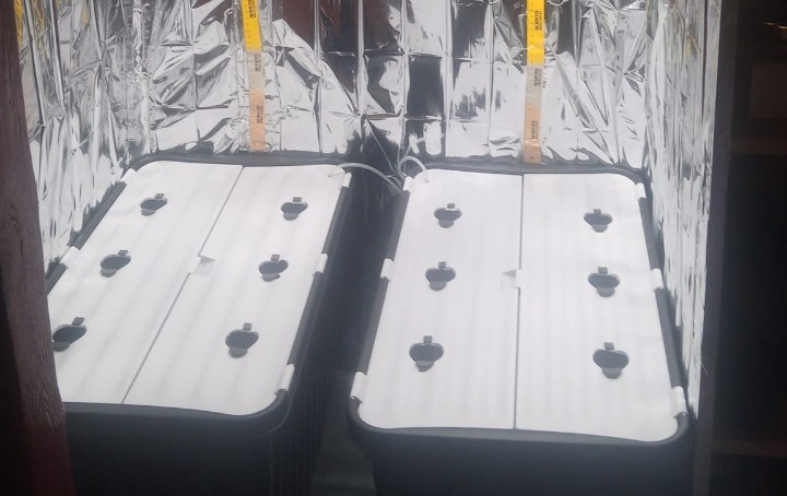 Screenshot_20250318_085924