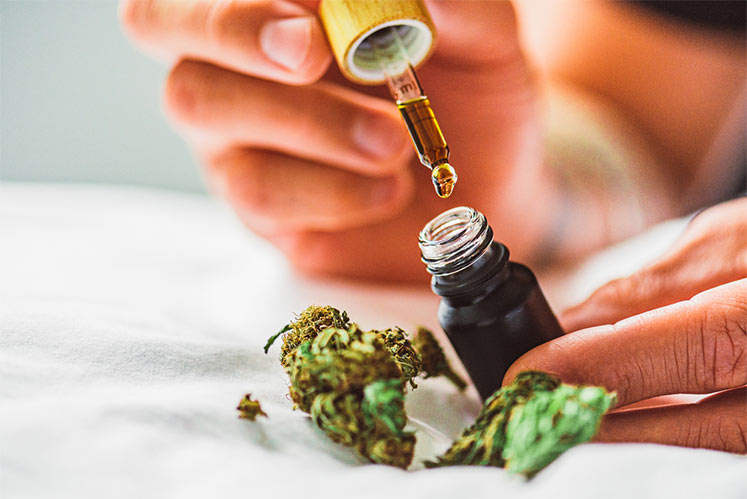 cannabis-extrakt