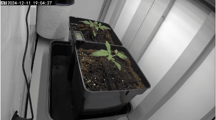 GIF_20250211_084041_523