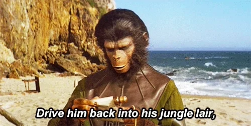 planet of the apes chimpanzees GIF - Find & Share on GIPHY