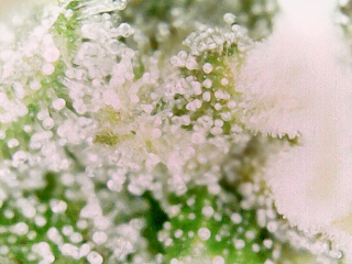 20240214_15_41_00_Pro