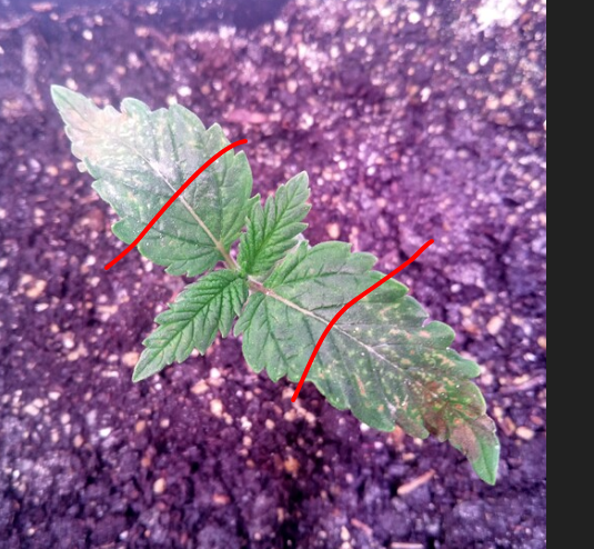 Bild_2024-05-01_224410187