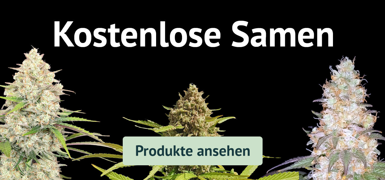 Baner kostenlose samen - ansehen
