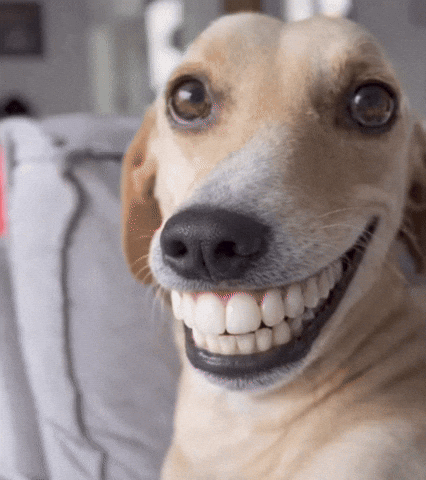 English Smile GIF