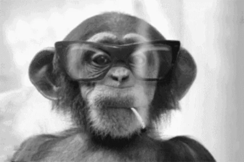 Smoke Monkey GIF
