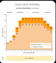 Screenshot 2025-02-04 072209