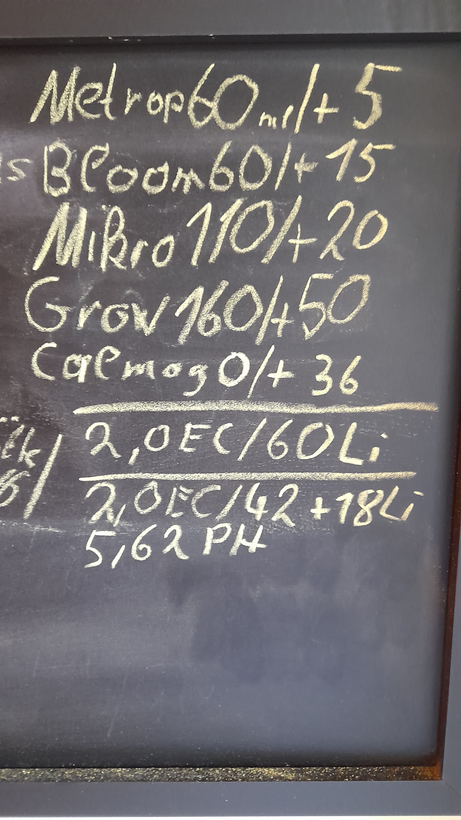 20240810_105850