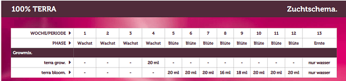 schema