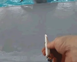 Weed Smoking GIF
