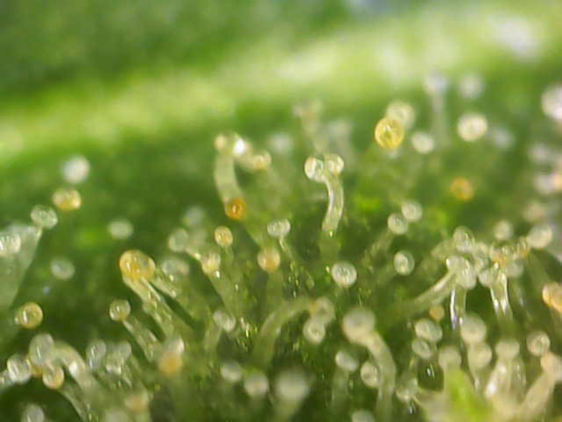 Image_2024-07-15 10_59_58_445