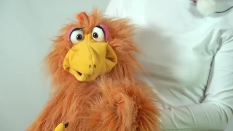 Look Reaction GIF by Living Puppets