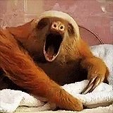 Sleepy GIF