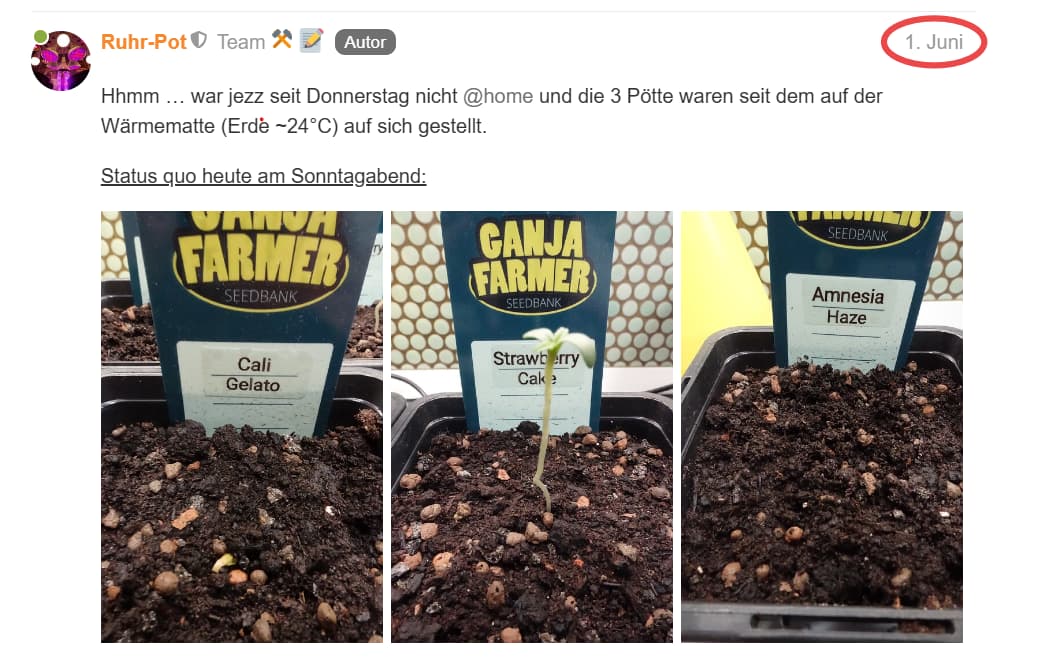 Growreport Bild 3
