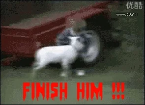 funny goat GIF