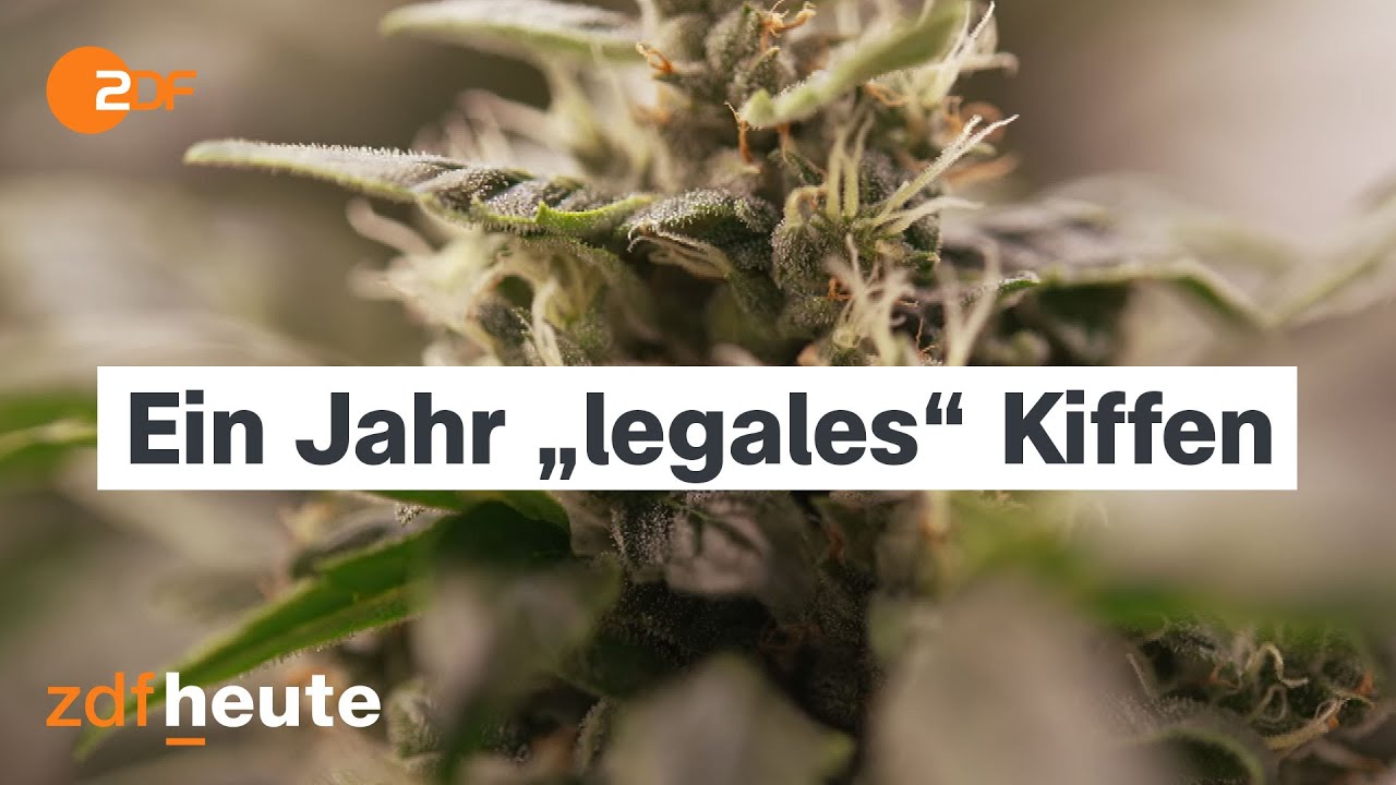 Ein Jahr Cannabis-Teillegalisierung: Zwischen Rausch und Ernüchterung | Länderspiegel