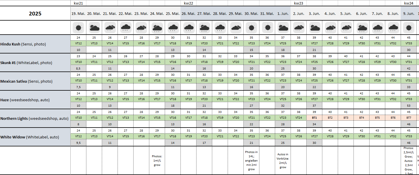 Growreport Bild 11