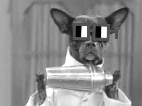 Sit Down Party GIF by nounish ââš-âš