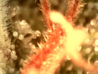NextCamera_20250905_123438