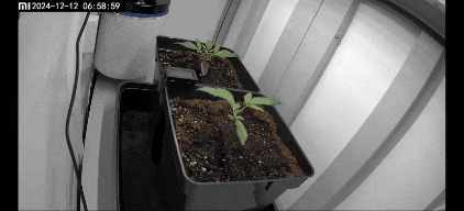 GIF_20250223_162035_448