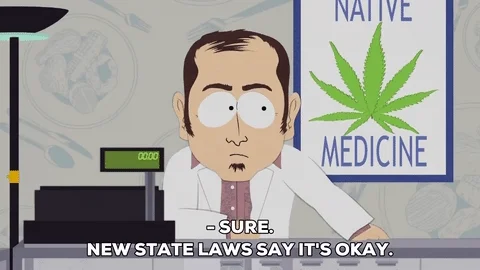 medical marijuana doctor talking GIF by South Park