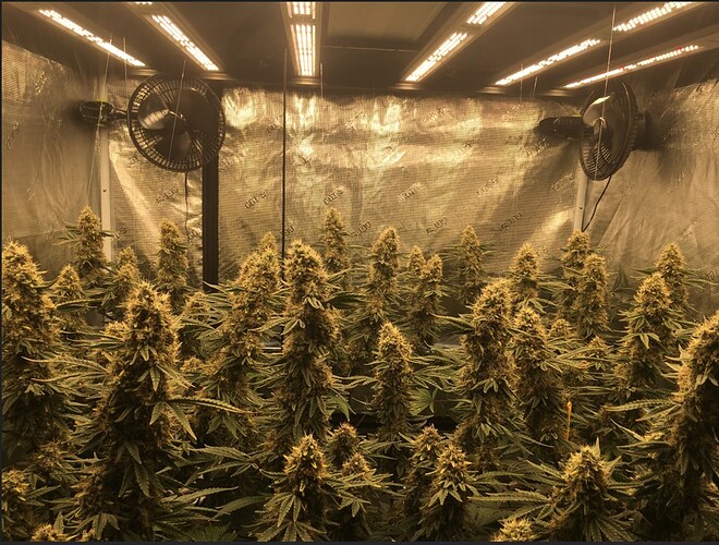 2175f01de83768aa0600c6cffa8e39fef4d713ca_2_660x500