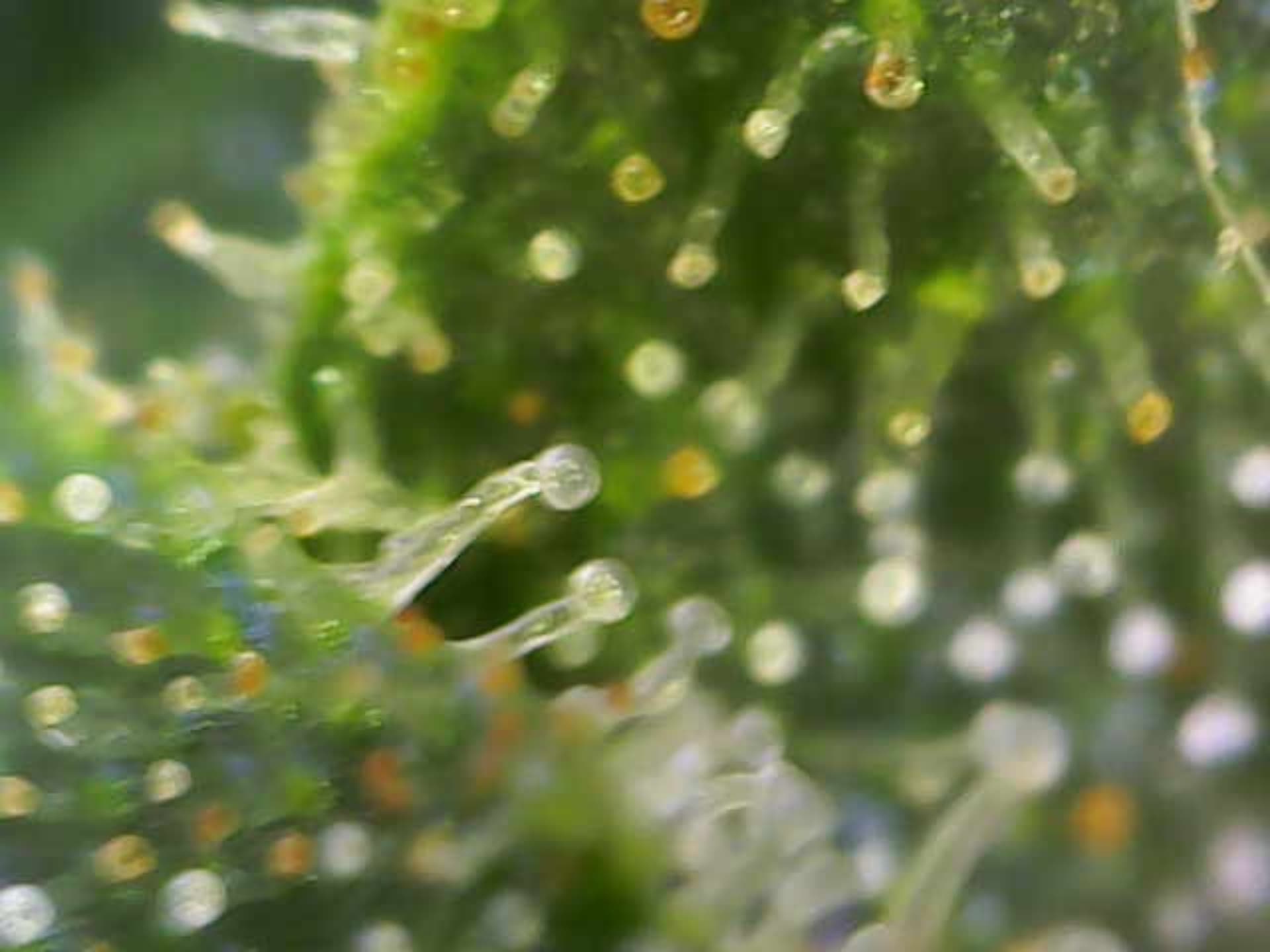 Image_2024-07-15 10_57_53_434