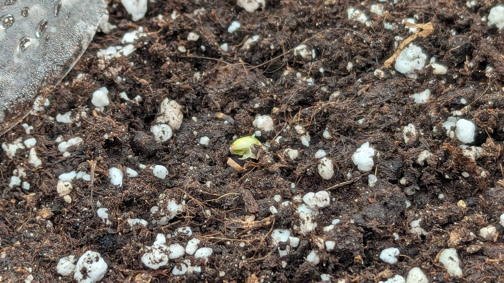 PXL_20240628_103925591