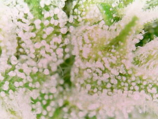 20240214_15_42_29_Pro