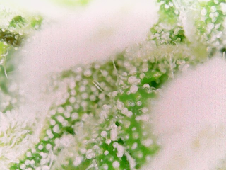 20240214_15_41_53_Pro
