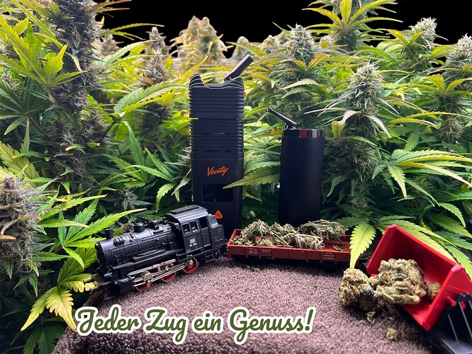 231ddc5ad53e0e9cee93b8fbb71905c8cd4f2079_2_666x500