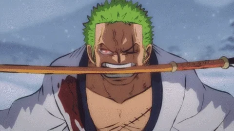 Mad One Piece GIF by Toei Animation